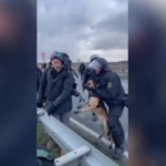 German liberals riot in Saxony (VIDEOS)
