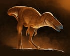 Fossils found in 1970s are most recent ancestor of tyrannosaurs, scientists say