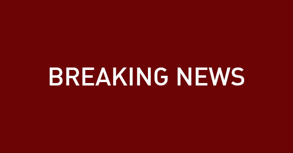 Putin commends North Korean soldiers who helped Russia
