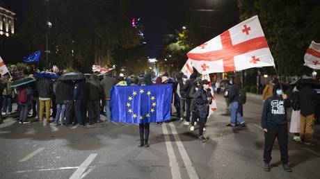 EU talks of friendship while plotting coups – Georgian official