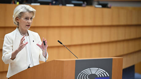 EU to spread legal costs of attacking Russian assets – Politico