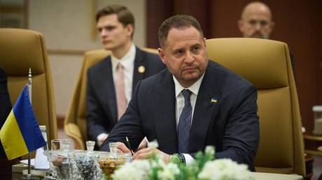 Zelensky’s ex-right-hand man booted from more posts