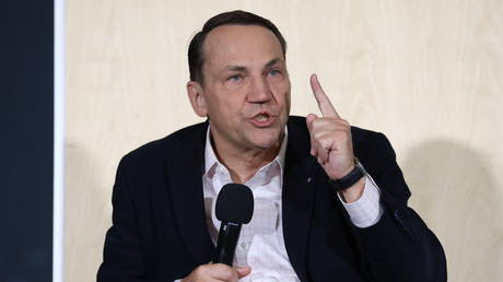 Polish minister tells Musk to go to Mars over EU comments