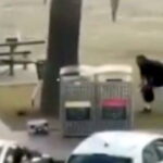 Brave bystander disarms gunman in Sydney terrorist attack (VIDEO)