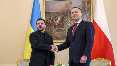 Polish president gifted Zelensky book on Ukrainian Nazi crimes – media (PHOTO)