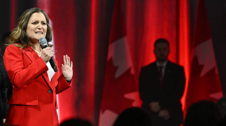 Canada-born descendant of Nazi collaborator quits posts to advise Ukraine