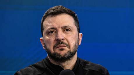 ‘Clown’ Zelensky ‘losing the plot’: Reactions to his Davos tirade