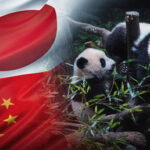 Last pandas in Japan leave for China as relations sour