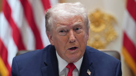 Putin will halt strikes on Kiev – Trump