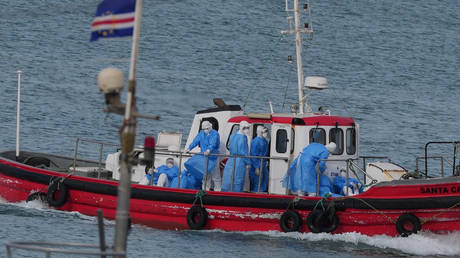 Hantavirus: How dangerous is the cruise ship outbreak?