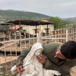 IDF in new Virgin Mary statue scandal