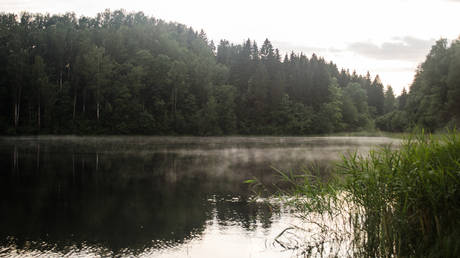 Drone crashes into lake in Baltic state (PHOTO)