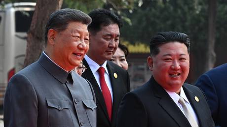 Xi Jinping to pay state visit to North Korea