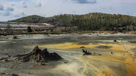 India seeking Siberian rare earth samples – Reuters