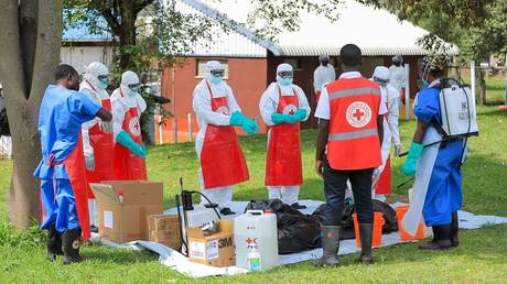 Two Red Cross volunteers killed in DR Congo
