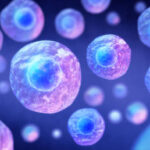 Synthetic cell marks new step toward artificial life – researchers