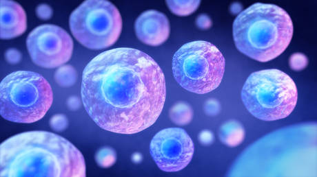 Synthetic cell marks new step toward artificial life – researchers