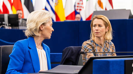Von der Leyen seeking to tighten grip on EU foreign policy – Politico