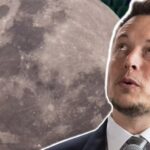 Musk remaking the world like Ford – but far more dangerously