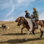 Fire rangers of Mongolian steppe: climate crisis spurs revival of ancient knowledge – photo essay