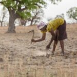 Spotlight on UN desertification summit as it mulls how to spend $12bn war chest
