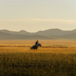 Mongolia Green Ambitions at UNCCD COP17 Face Economic and Rangeland Challenges