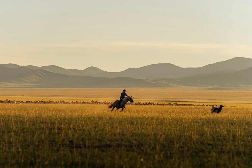 Mongolia Green Ambitions at UNCCD COP17 Face Economic and Rangeland Challenges
