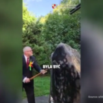 Polish MEP takes axe to Ukrainian Nazi-linked memorial (VIDEO)